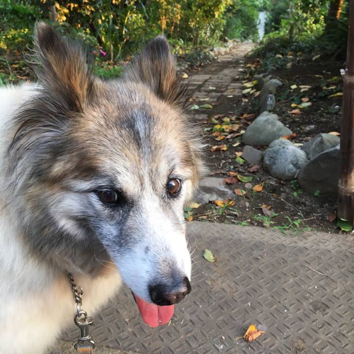 8c2ac3c9 e141 423a be96 08eb32206479