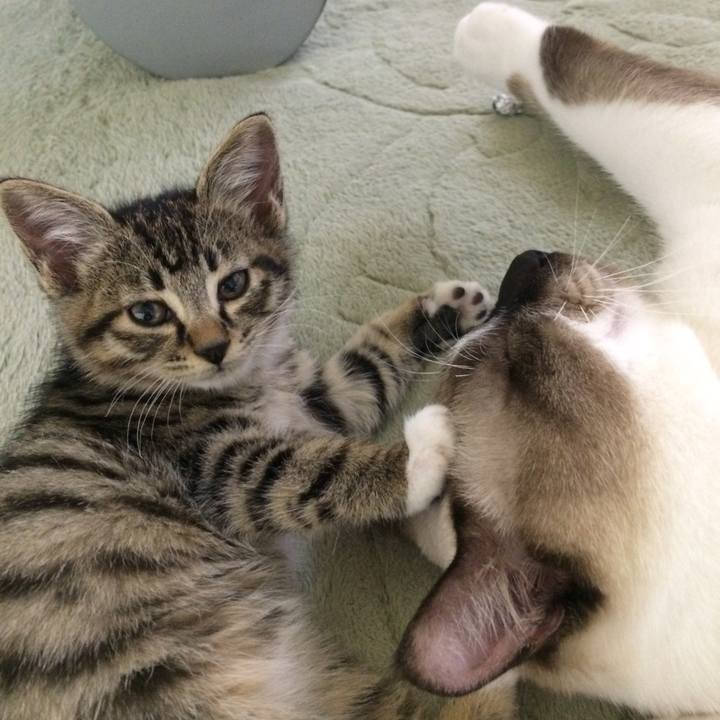 8c2afc25 3121 4e8d 9ae6 24a2d548ddc8