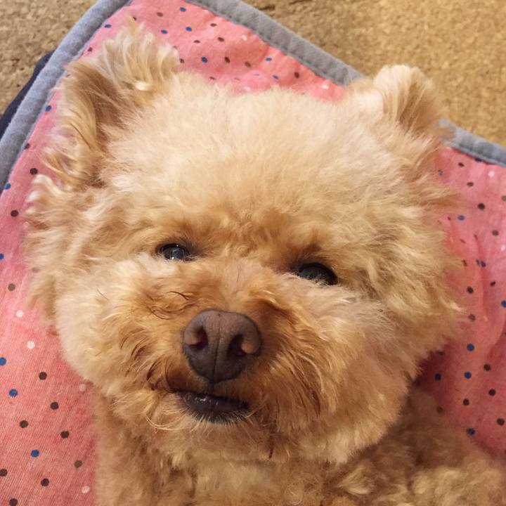 8c2baeb1 f1b5 4fa2 b78c 92db99dab876