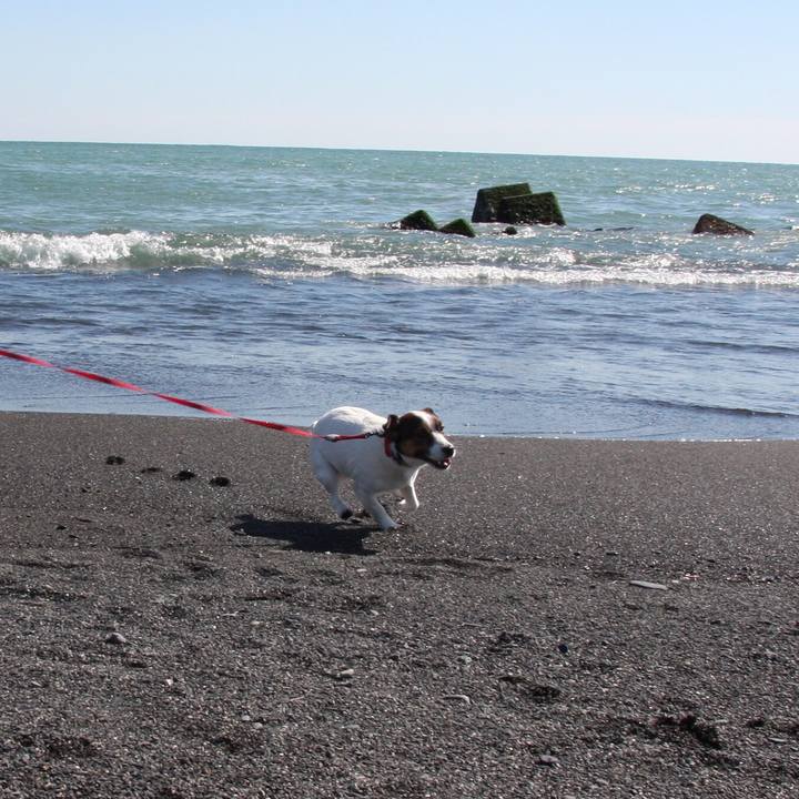 8c2c27cd 1f77 41c6 ae2e 9b5c51612f12