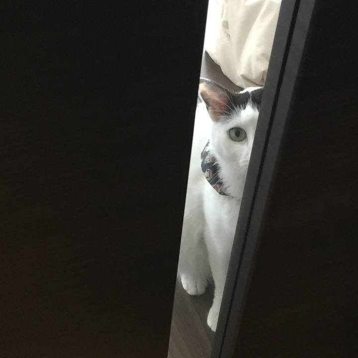 8c2c61cc 107a 41a2 88e1 5ed4df70b000