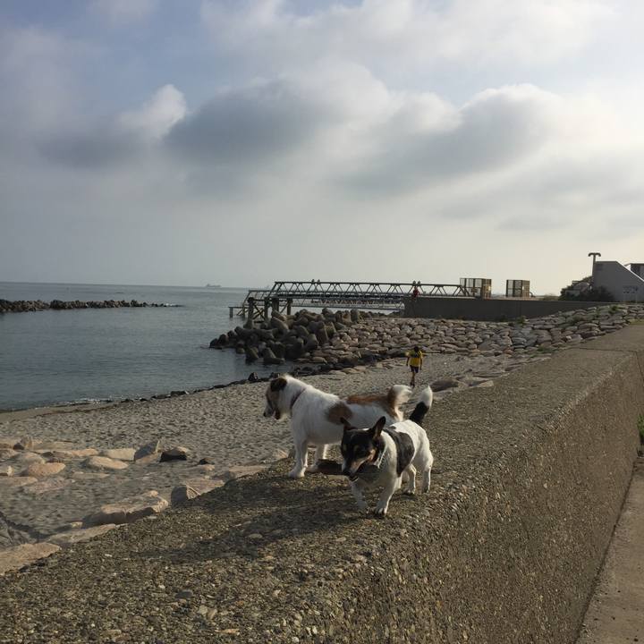 8c2c6fca 682d 4849 8501 2d5b4f9c2240