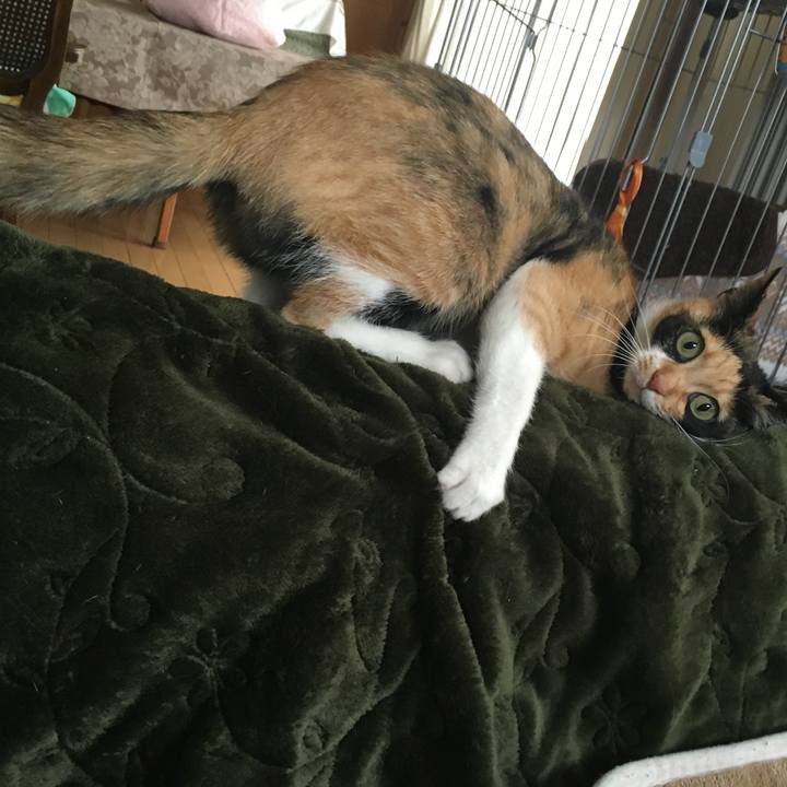 8c2d07d7 65af 4254 84cf d61bbc5a752f