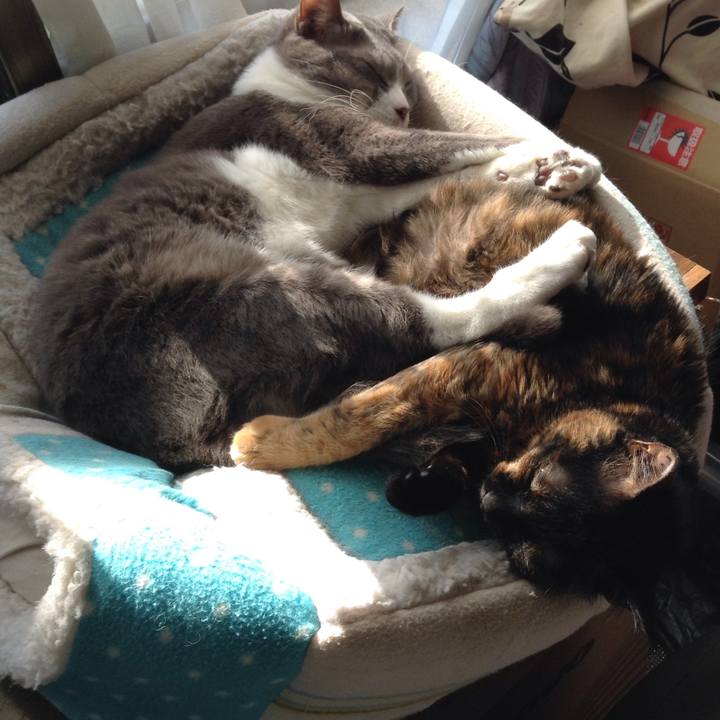 8c2d4efc 734a 462b 8094 c43ba0f3b2bd