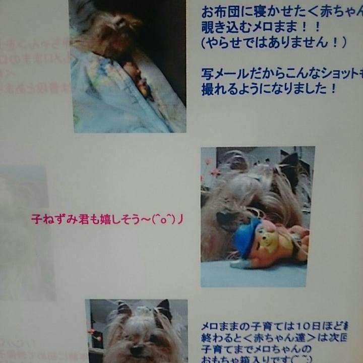 8c2d652d 5ad7 4886 ba16 6bfb44bc8f5b