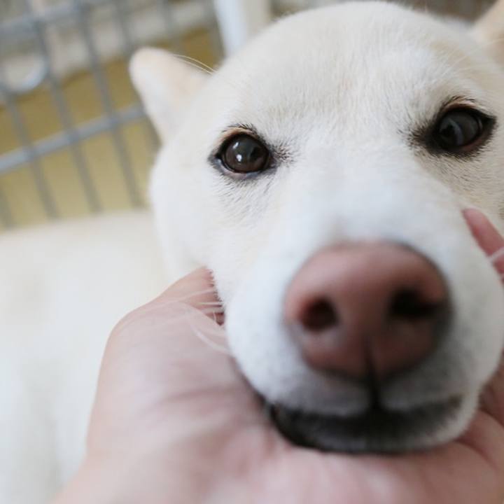 8c30929e 5518 4fcf 9435 9c14e4f2534a