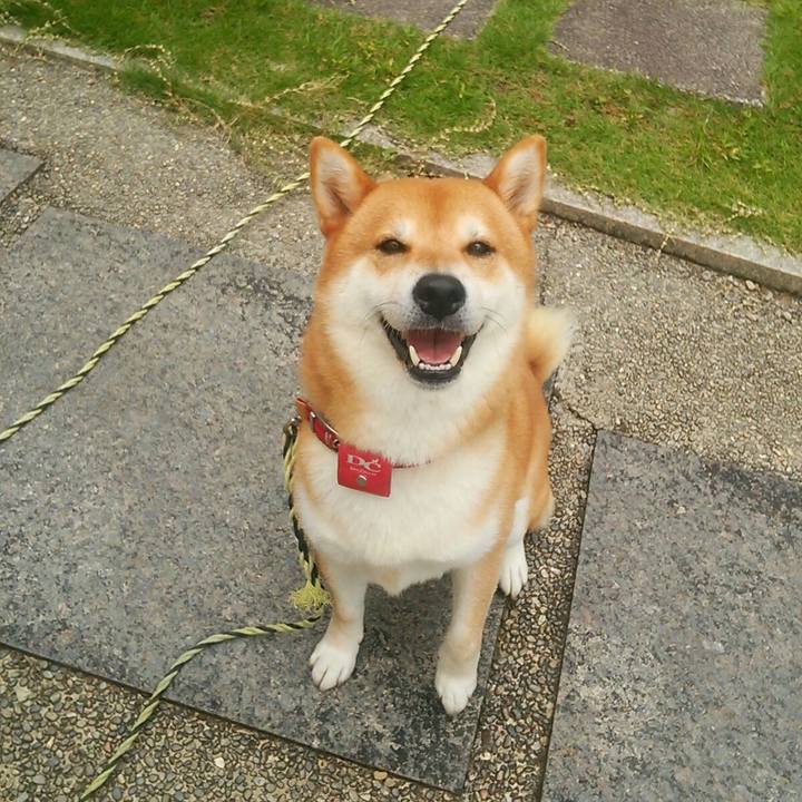 8c30c7be aaf1 4662 997c 52ff3e801e4e