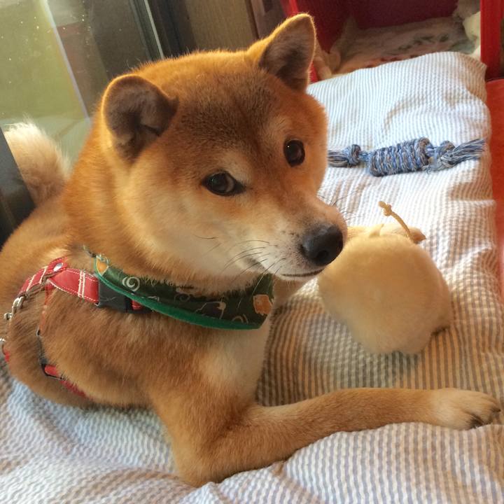 8c313b6a ba6a 48d6 b912 1048bceb1166