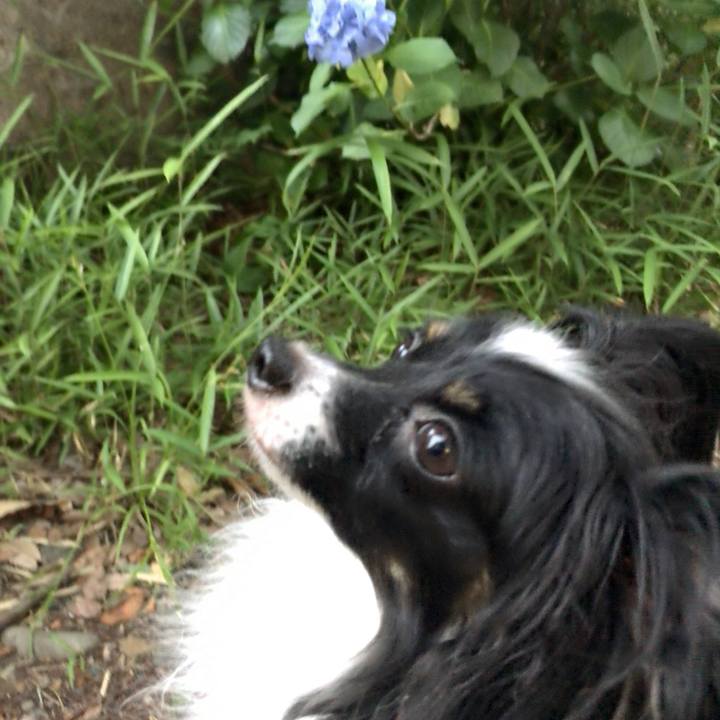 8c3150f8 e197 4462 9aaa 3735b8e91a31