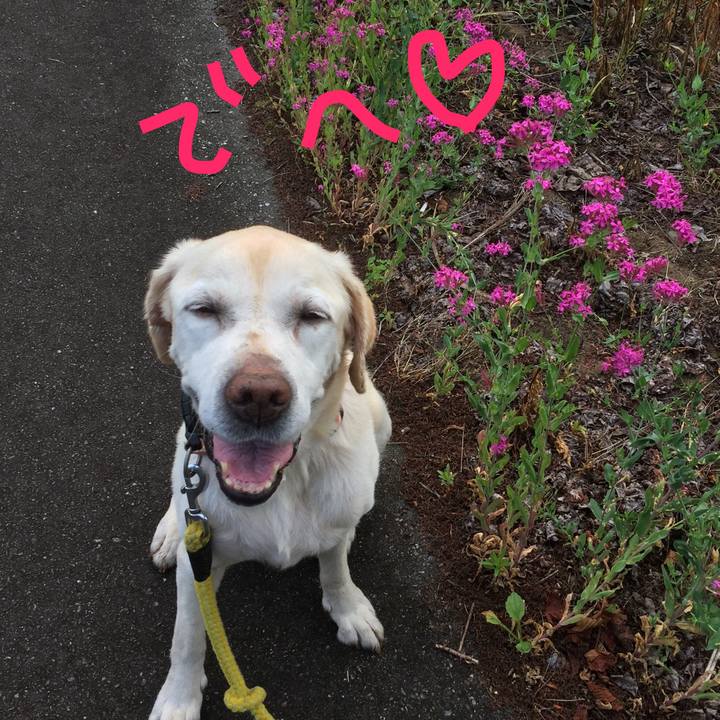 8c32422d 6268 46b5 aa7c 88e2eb5ddb78