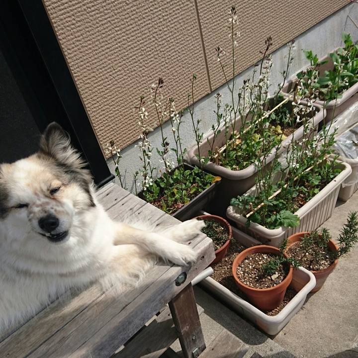 8c32ba9f fc54 40fc bc9a 82f5e5a66f68