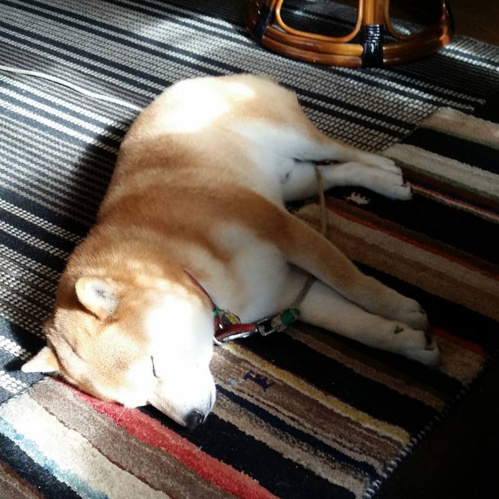 8c32cd99 276e 4500 92a4 6ea7db6abaca