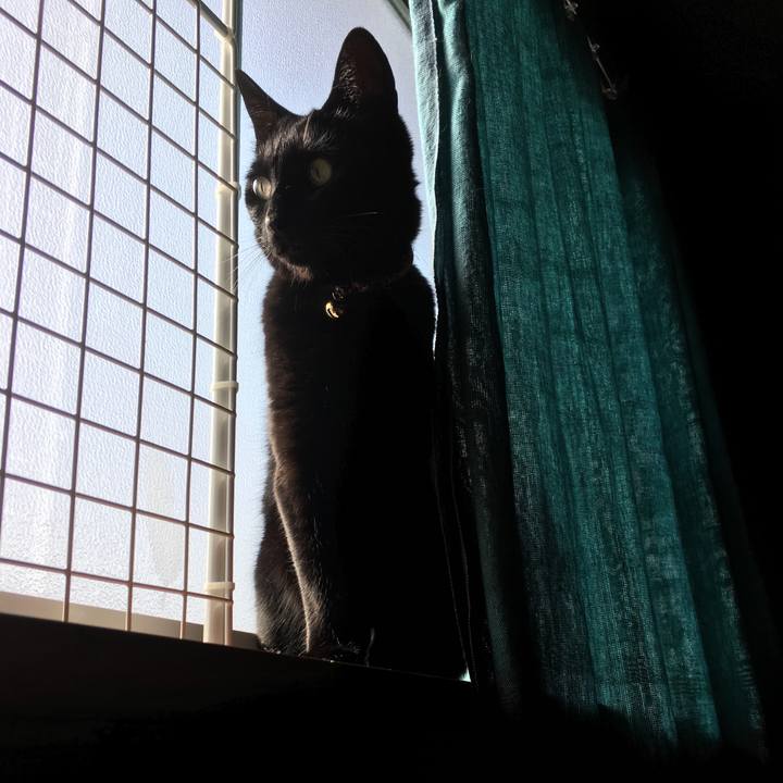 8c3380ad e3cc 4d45 979c 58040f97d83f