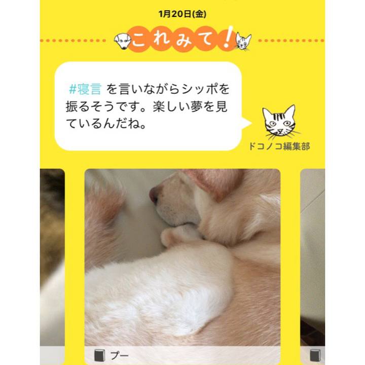 8c33dd0a 1c19 4974 9f46 72a539180de2