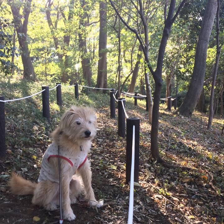 8c33e048 ef6c 40f3 93df 487f5f8a27fe