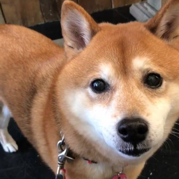 8c341775 9567 4dd4 a9e8 a748c2a473ac