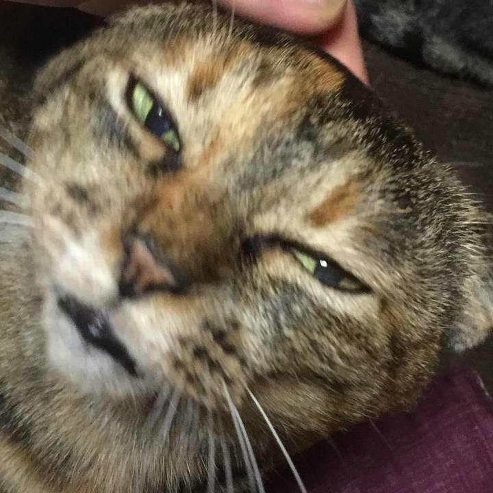 8c34618b f294 48d9 8034 712779d6a011