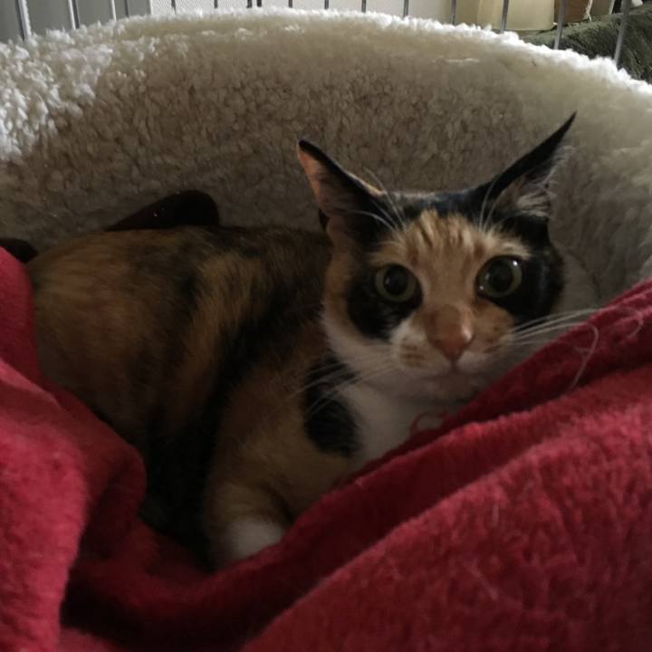 8c347228 d7f4 4ecc b528 87302bb3774a