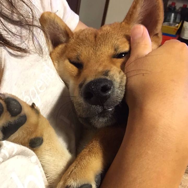 8c34ec75 5252 40c8 be94 a83c5fa10221