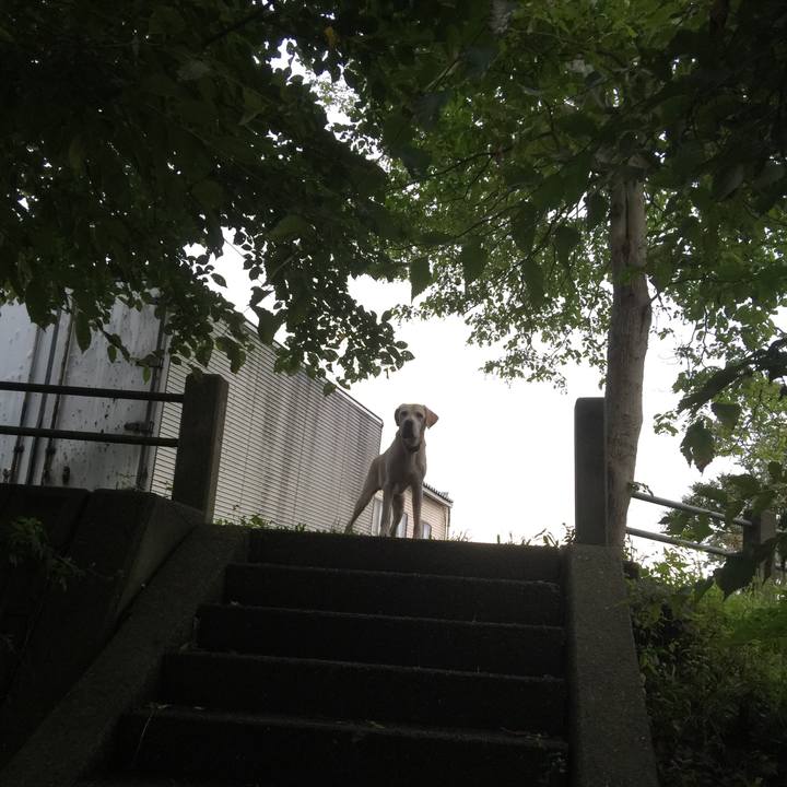 8c35014c 5dd3 4e59 a39d edf2163ec7dd