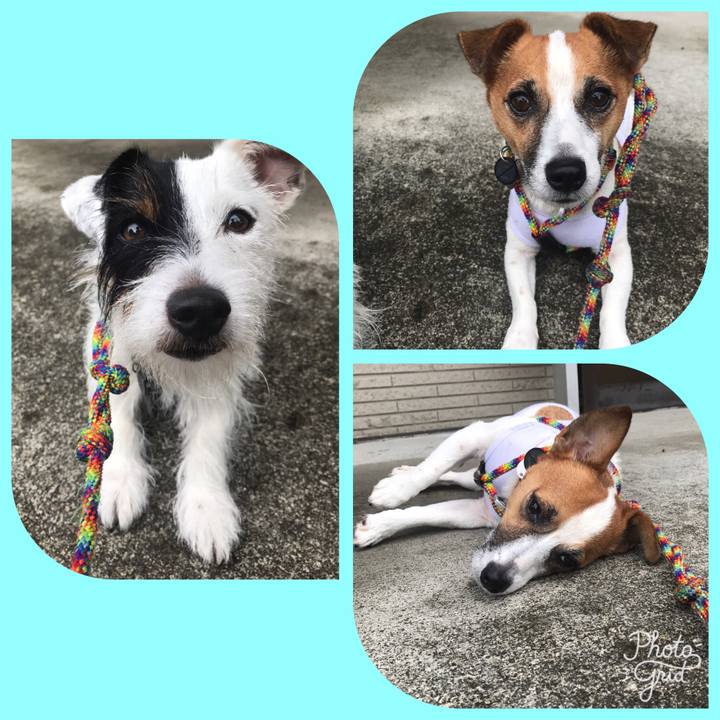 8c3542fa 6c52 41b5 af5c 424ddee8b8d5