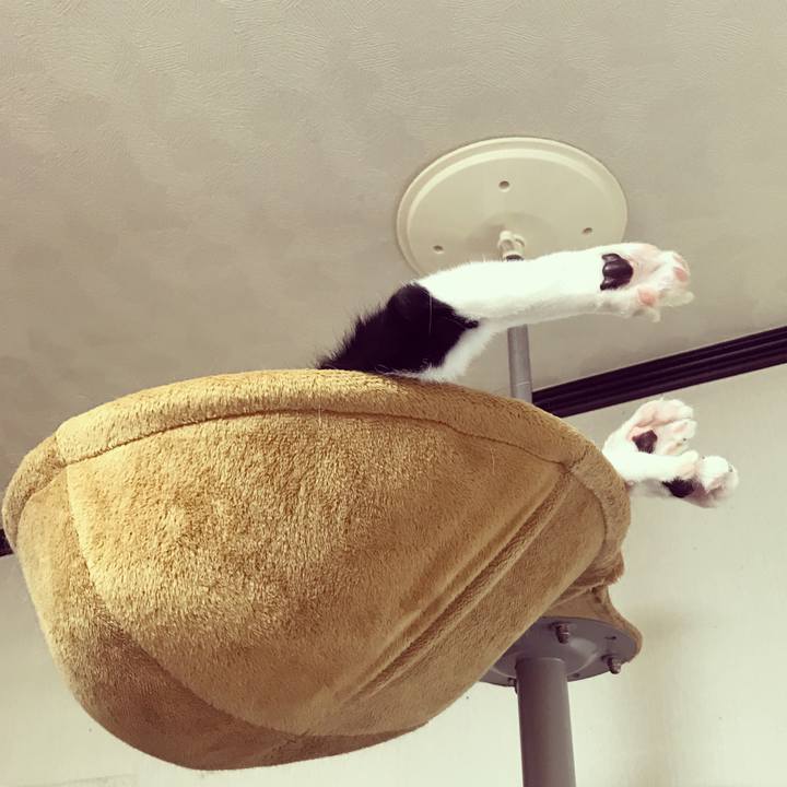 8c35ba79 e168 43c0 8b0e bb6df322370a