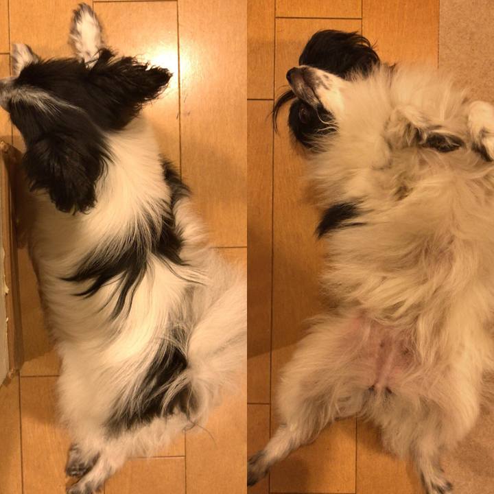 8c35e776 cce3 43d2 8597 e09500940f33