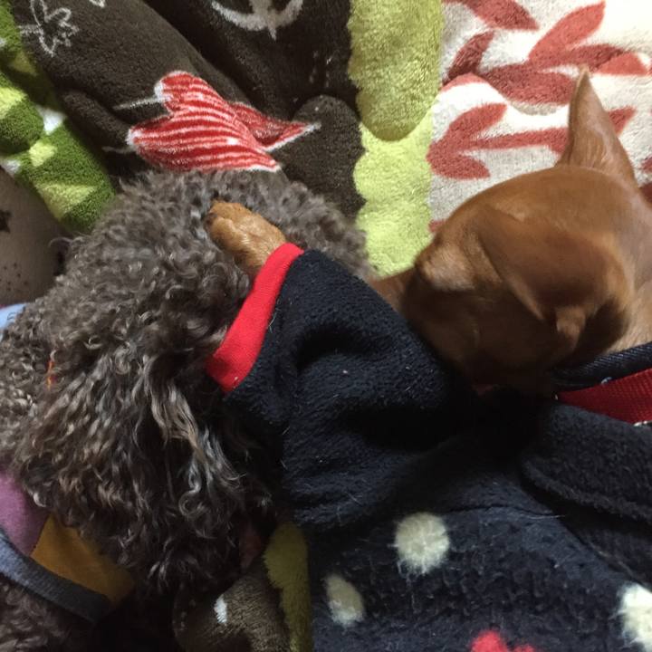 8c362b61 ac93 4d6f af38 38a89183ea0b