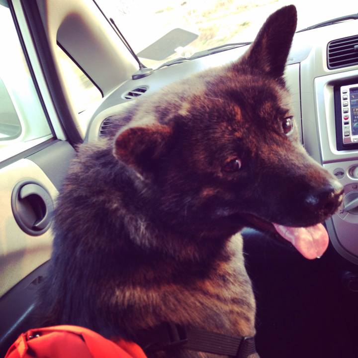 8c36444d fce5 493d 9064 aaf8343c03de