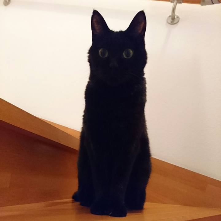 8c3675cd ce03 41af a7f0 01d3bd13720b