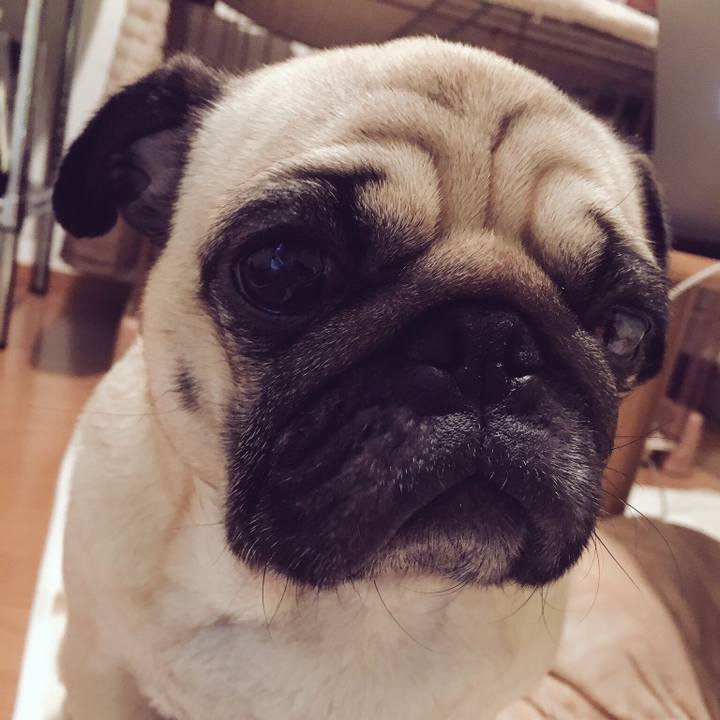 8c36837d 81c0 4856 8f57 49aba97fd453