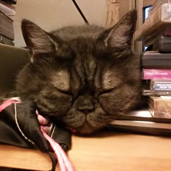 8c36f369 8c22 4e6a 9d3f e6ecb69c63a7