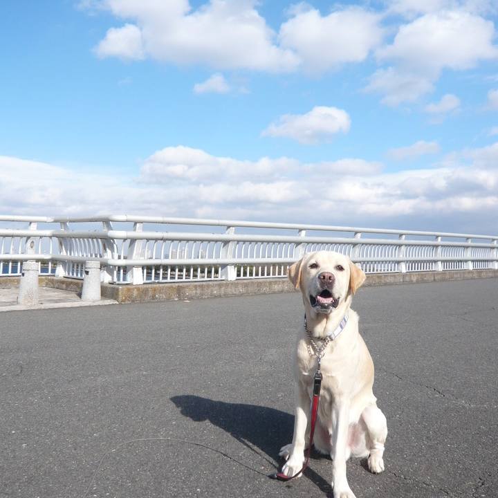 8c38108e 3a3a 46a5 9593 f970d997dbff