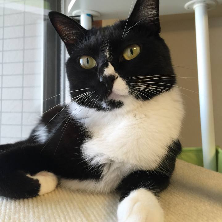 8c381da8 8ef0 46ce a723 da2636ccd80d