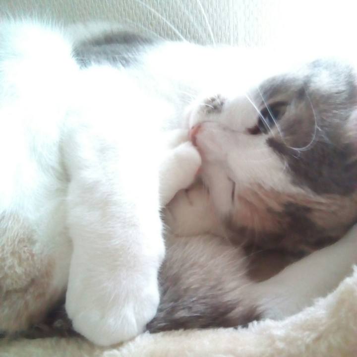 8c3884a8 1616 4990 aa64 175c7dbe5ee5