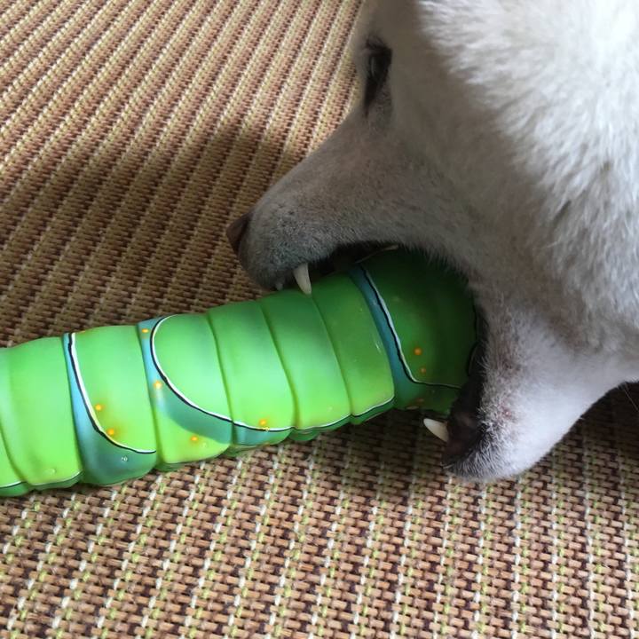 8c391589 8e45 4bf5 8673 6e80880cd28d