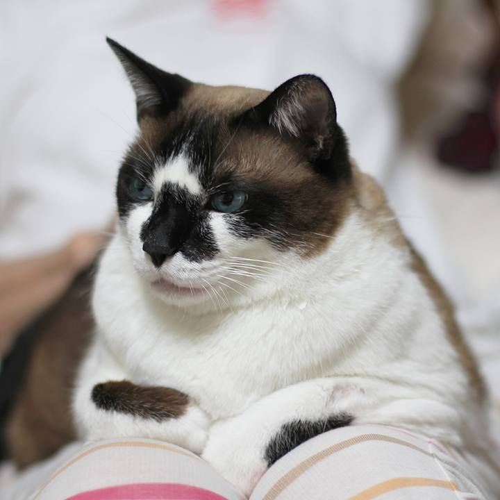 8c3962cd 54e5 493b bee2 52e8e1e6052d