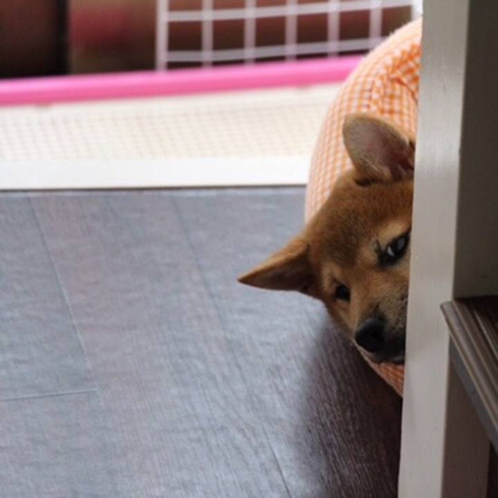 8c397de9 c823 474d a44f 173195753566