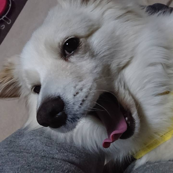 8c398e23 f56a 4af0 b909 20024901501c