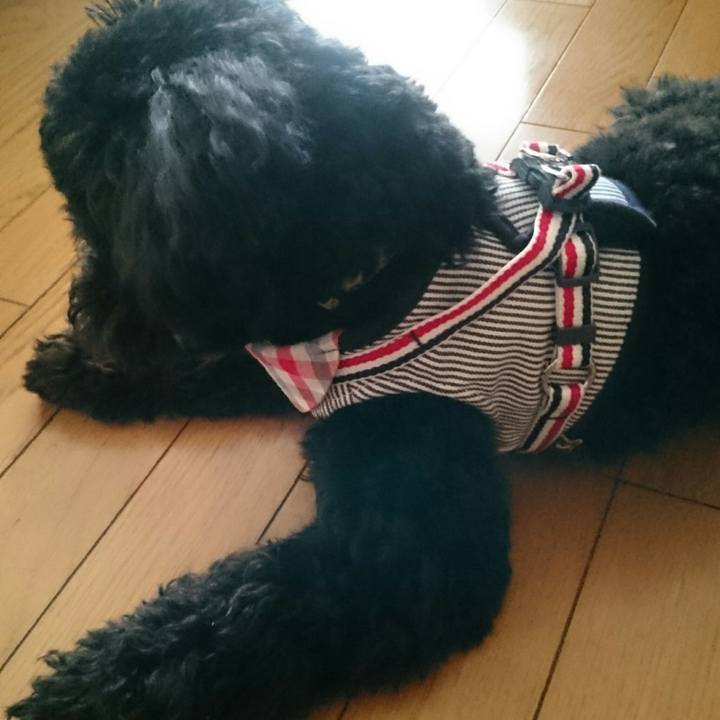 8c3a5eee beca 4338 9c73 c61e513fda9f