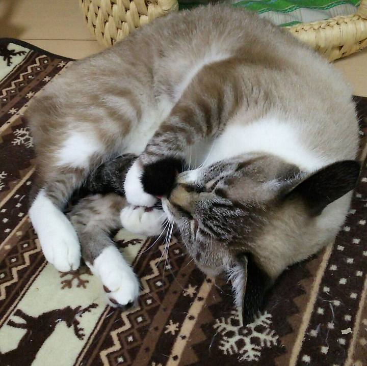 8c3ad750 b861 4625 9883 0de584d488f3