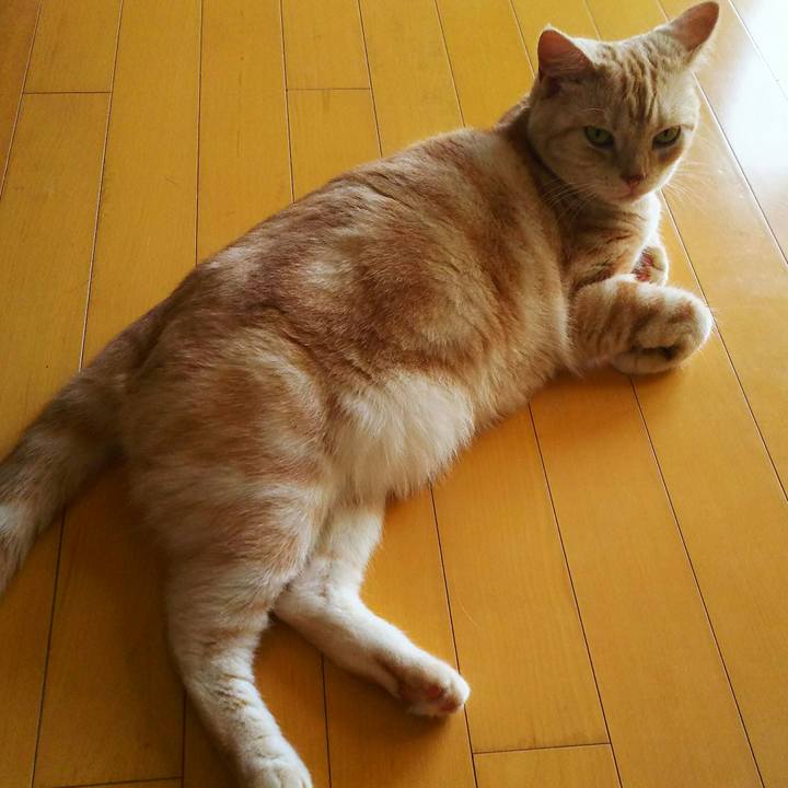 8c3b3557 bd06 4b68 a53e 6f2f9e0c8278