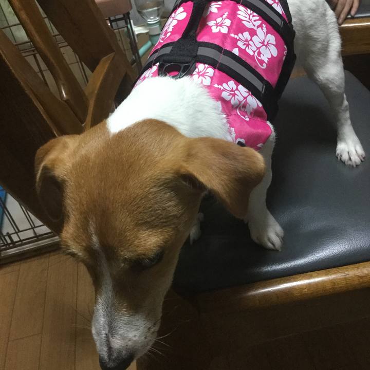 8c3b85f8 ea2b 4857 91f5 16f59ec02330