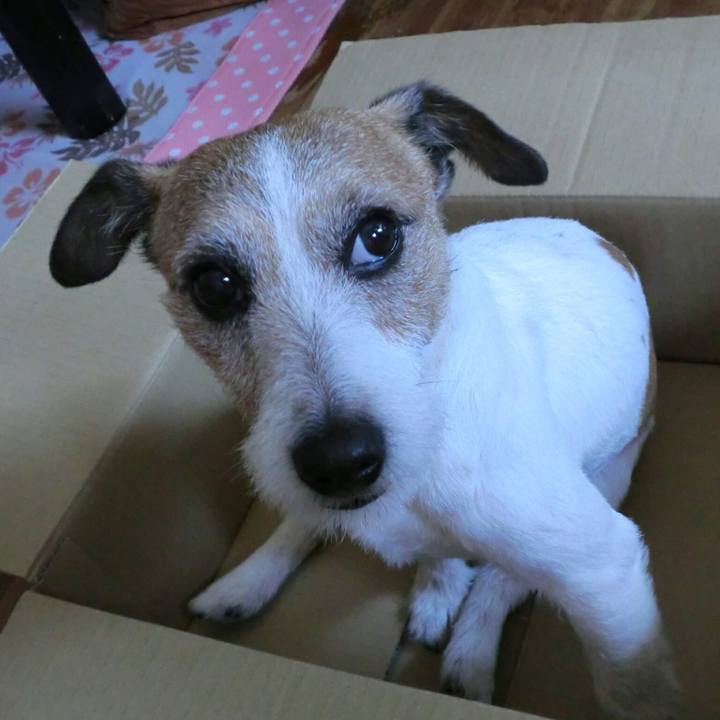 8c3b8e7a 52b8 435b a6f3 43183d8ff7a7