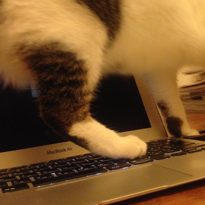 8c3c21d4 c616 4e88 be84 f1fd8ea14879