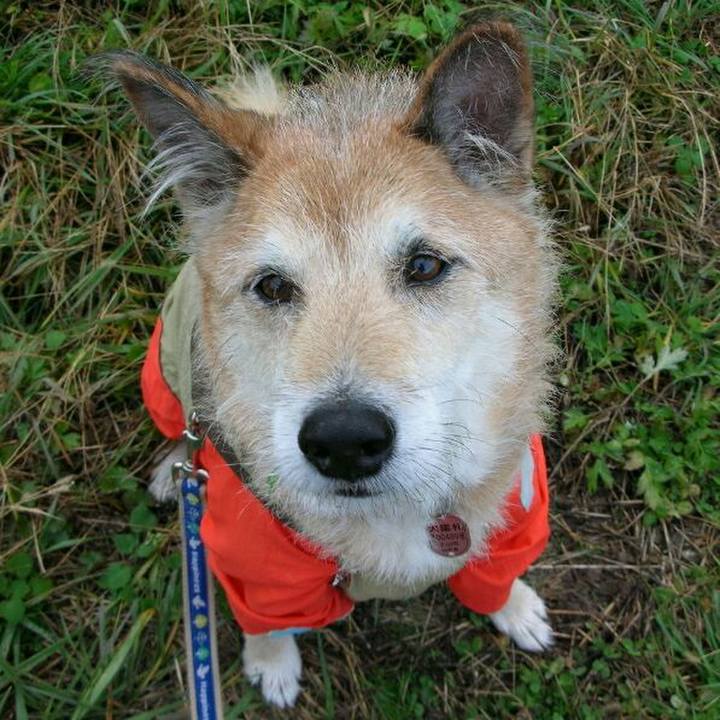 8c3c2830 abab 47f6 96ab d8e1064f941e