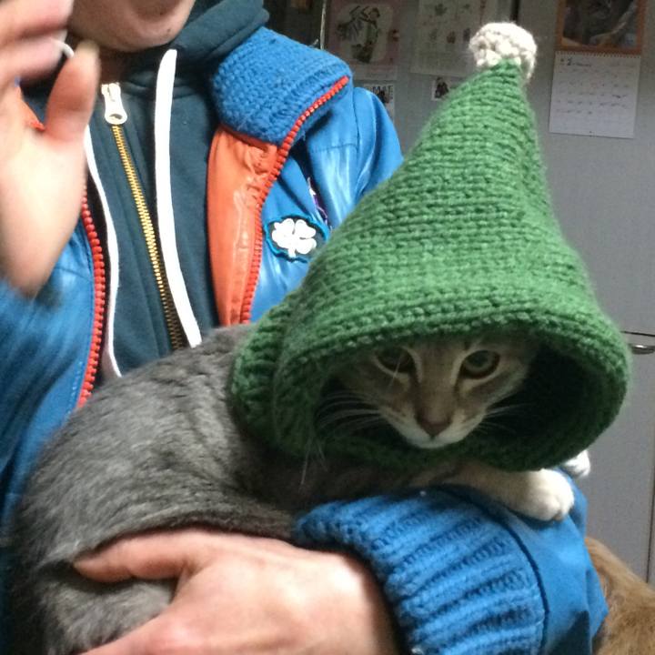 8c3cc612 518e 40fb a2ac 21df3c79ea7e