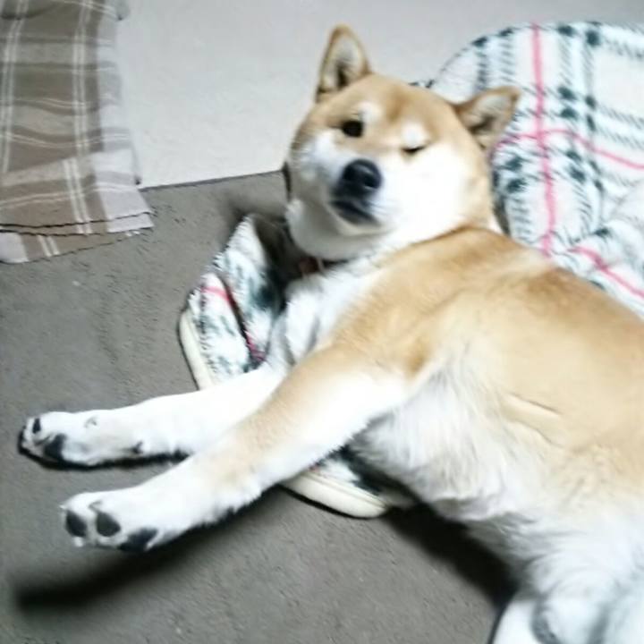 8c3cf092 a43c 42a8 aedf 9d452910774c