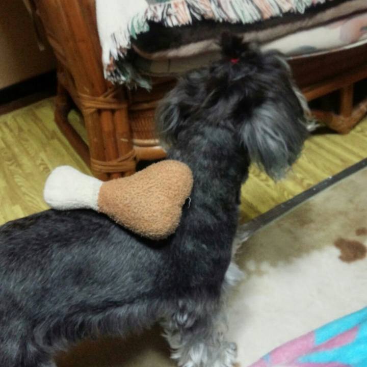 8c3d409e 5ae0 42cc ba27 ffeafd1f4c2d