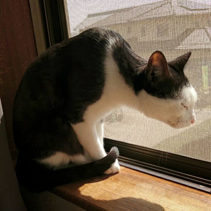 8c3d6ff6 60f3 479d 8000 ebe8f28b0bc6